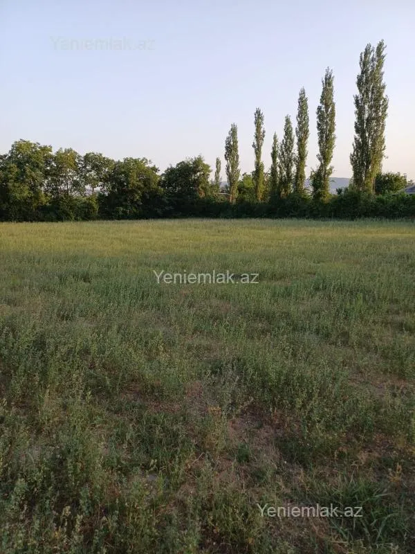 Satılır torpaq sahəsi