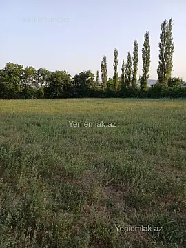 Satılır torpaq sahəsi