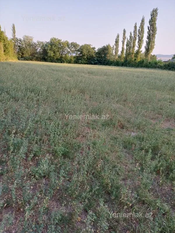 Satılır torpaq sahəsi