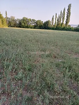 Satılır torpaq sahəsi