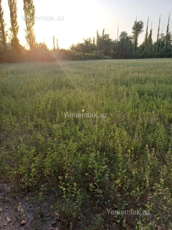 Satılır torpaq sahəsi