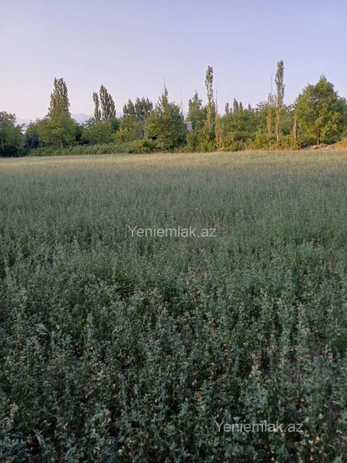 Satılır torpaq sahəsi