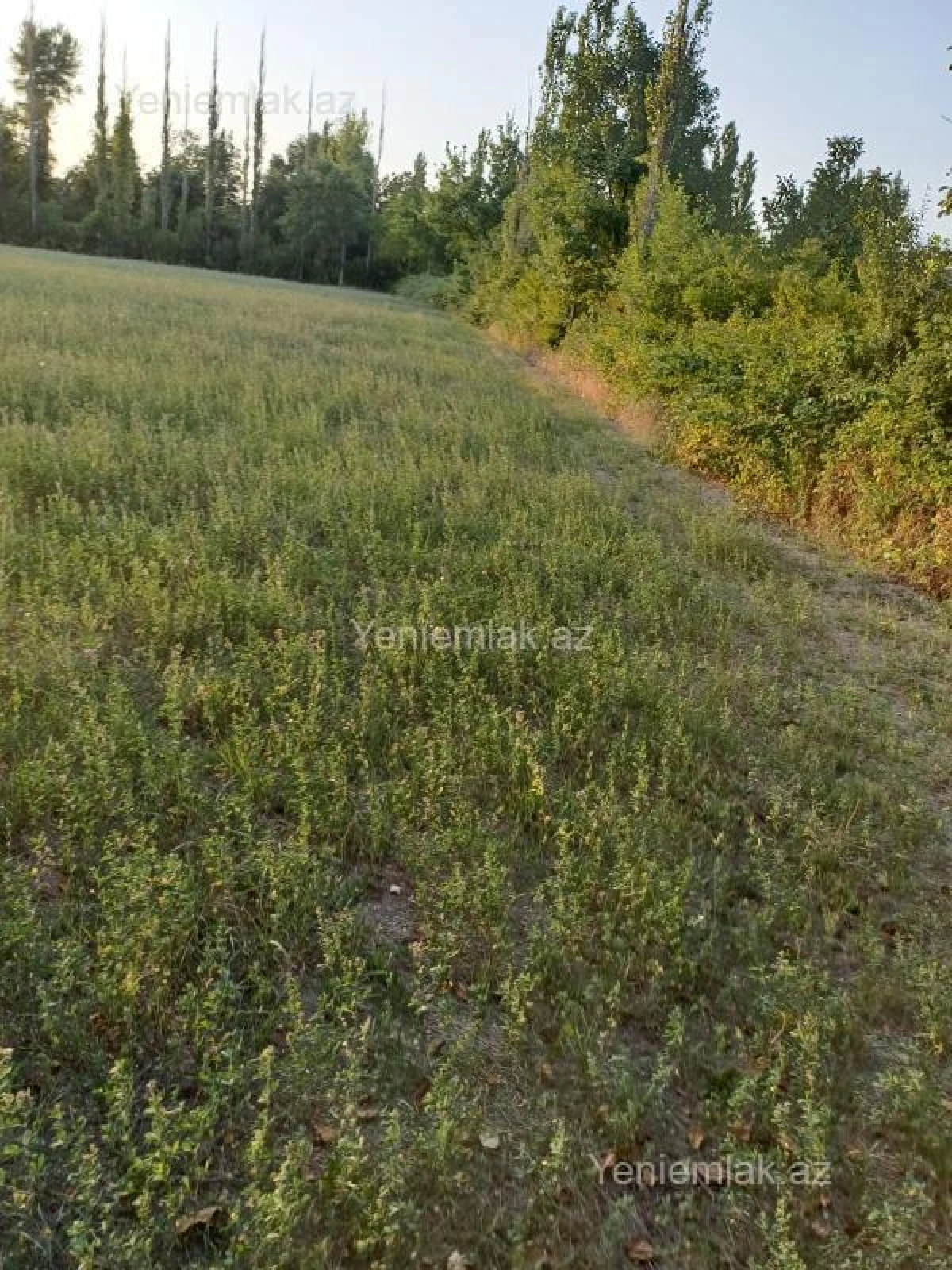 Satılır torpaq sahəsi