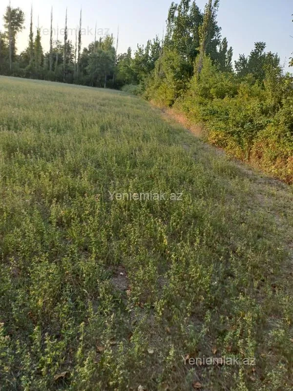 Satılır torpaq sahəsi