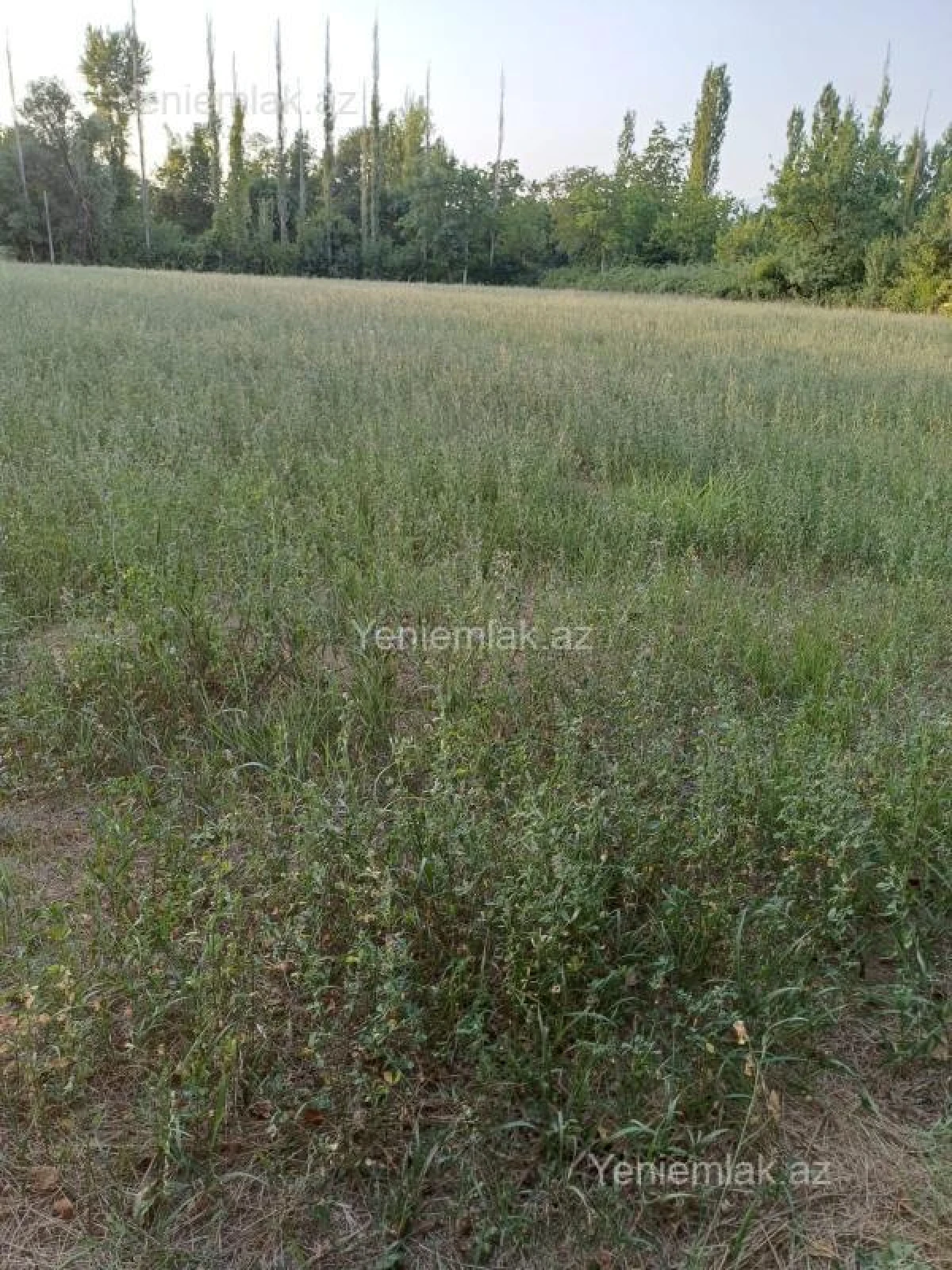 Satılır torpaq sahəsi