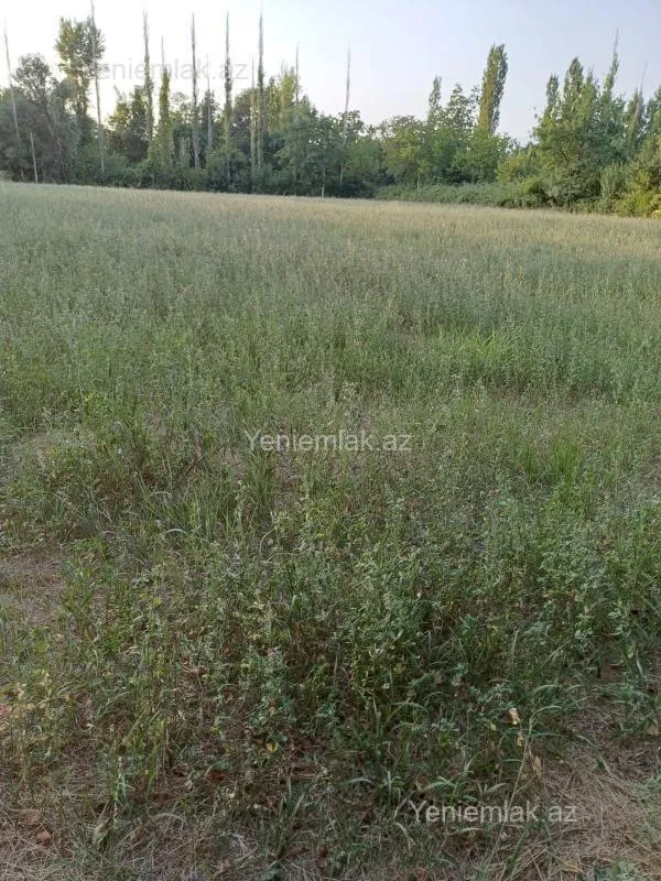 Satılır torpaq sahəsi