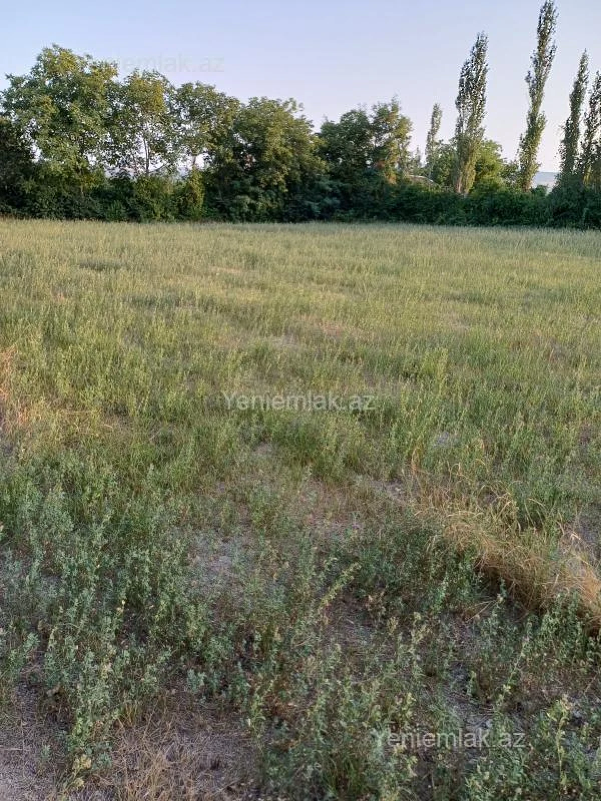 Satılır torpaq sahəsi