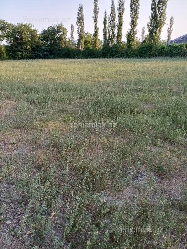 Satılır torpaq sahəsi