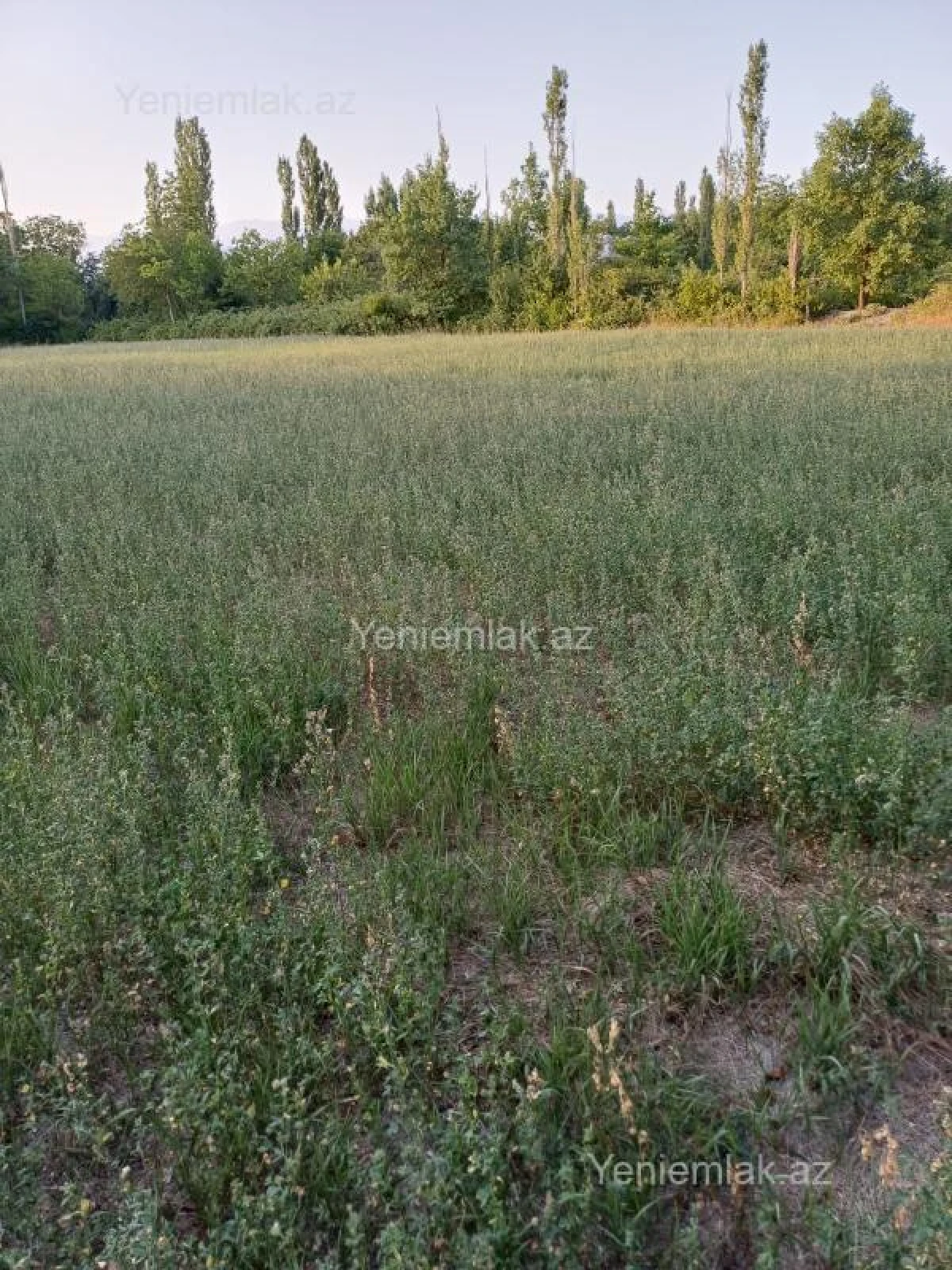 Satılır torpaq sahəsi