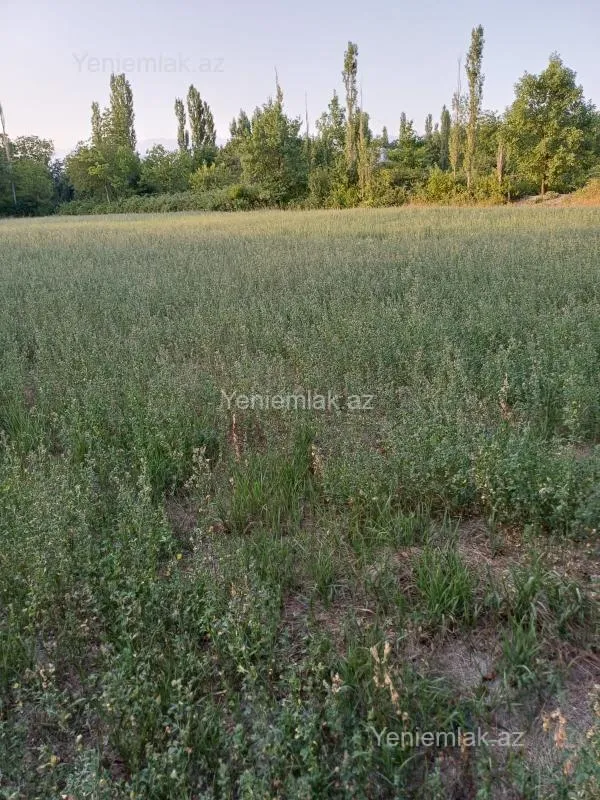 Satılır torpaq sahəsi