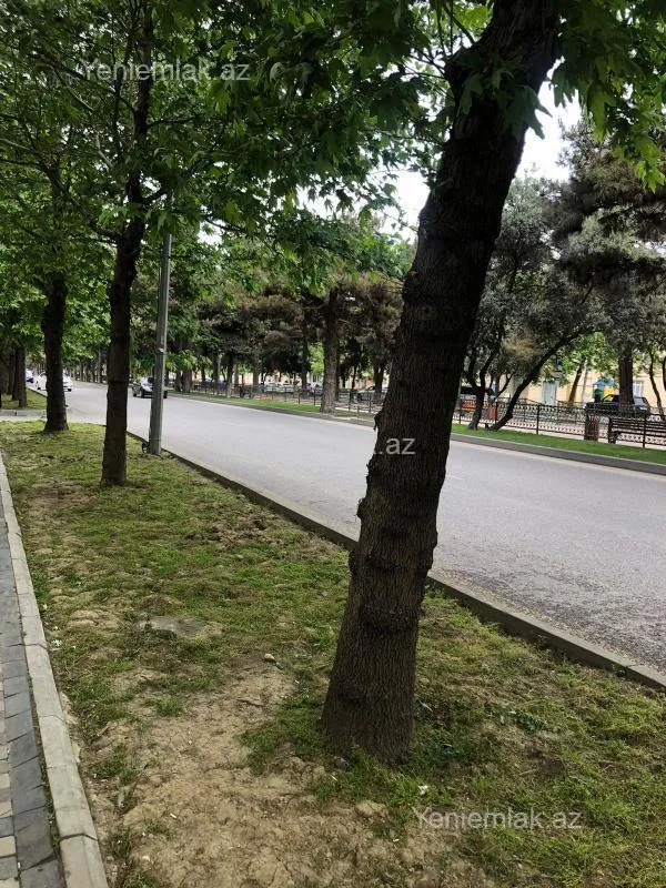 Satılır 1 otaqlı yeni tikili 58 m²