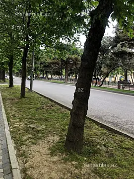 Satılır 1 otaqlı yeni tikili 58 m²