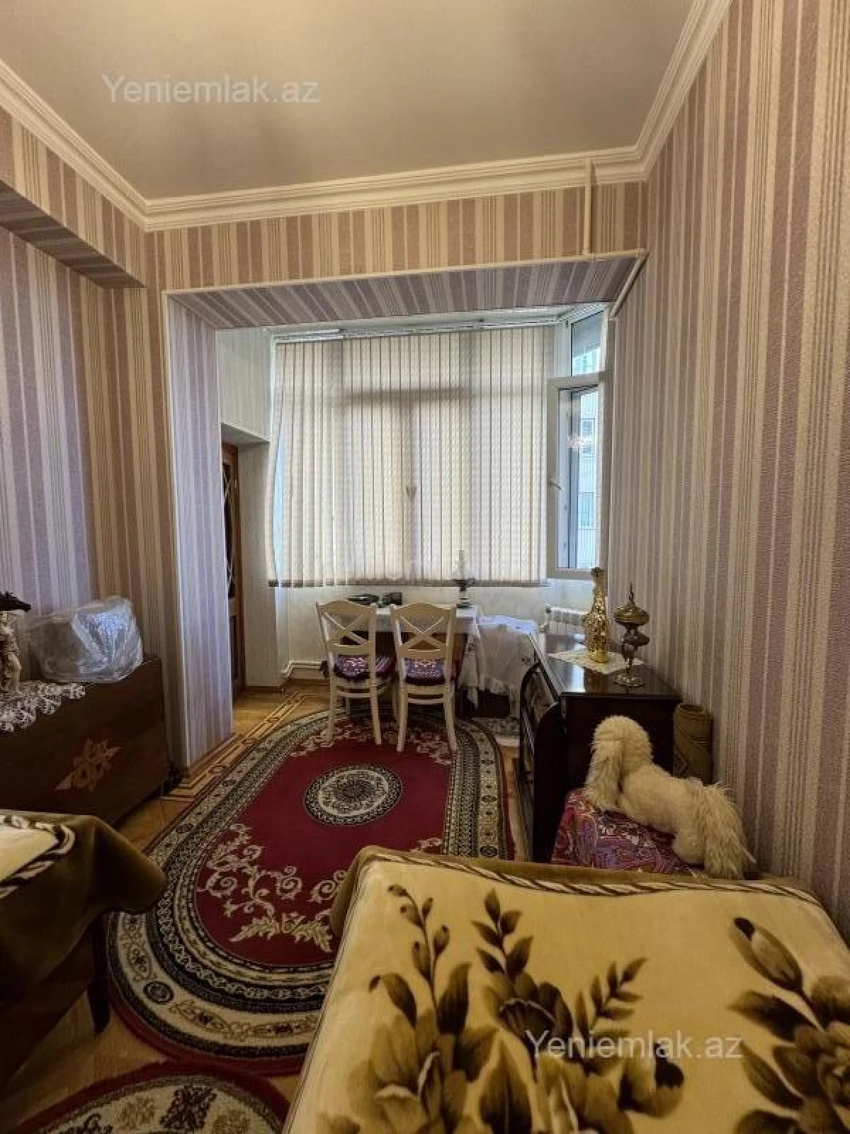 Satılır 3 otaqlı yeni tikili 109 m²