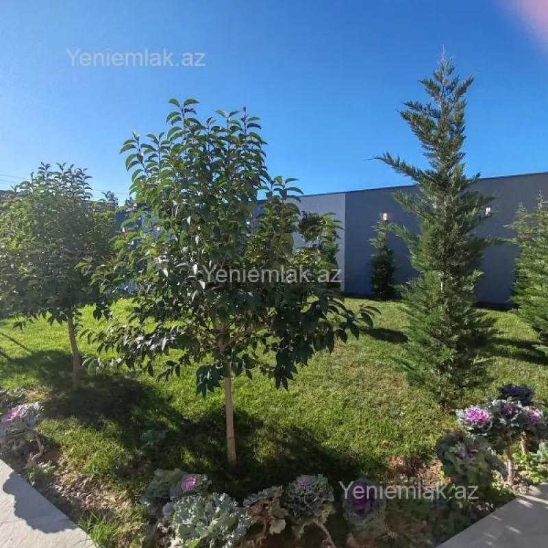 Satılır 4 otaqlı həyət evi 250 m²