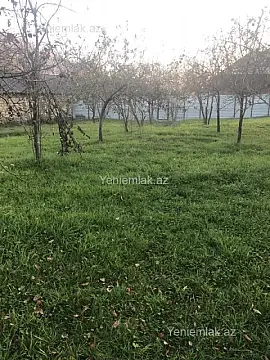 Satılır torpaq sahəsi — Qəbələ