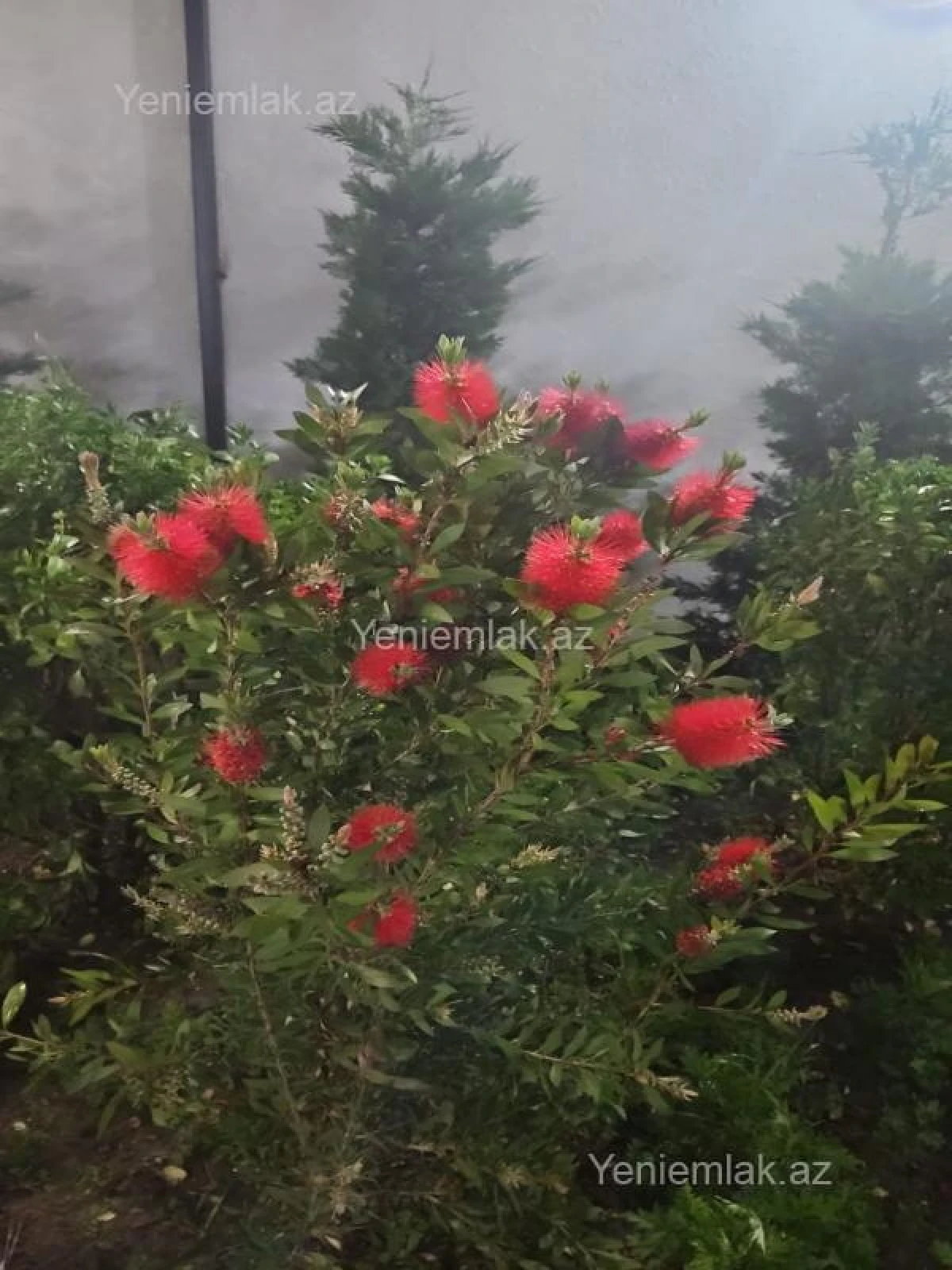 Satılır 6 otaqlı həyət evi 240 m²