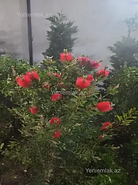 Satılır 6 otaqlı həyət evi 240 m²