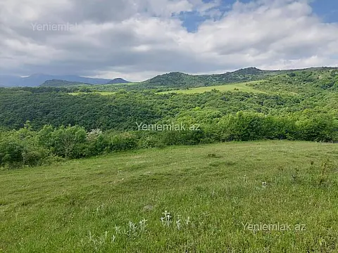 Satılır torpaq sahəsi — Şamaxı