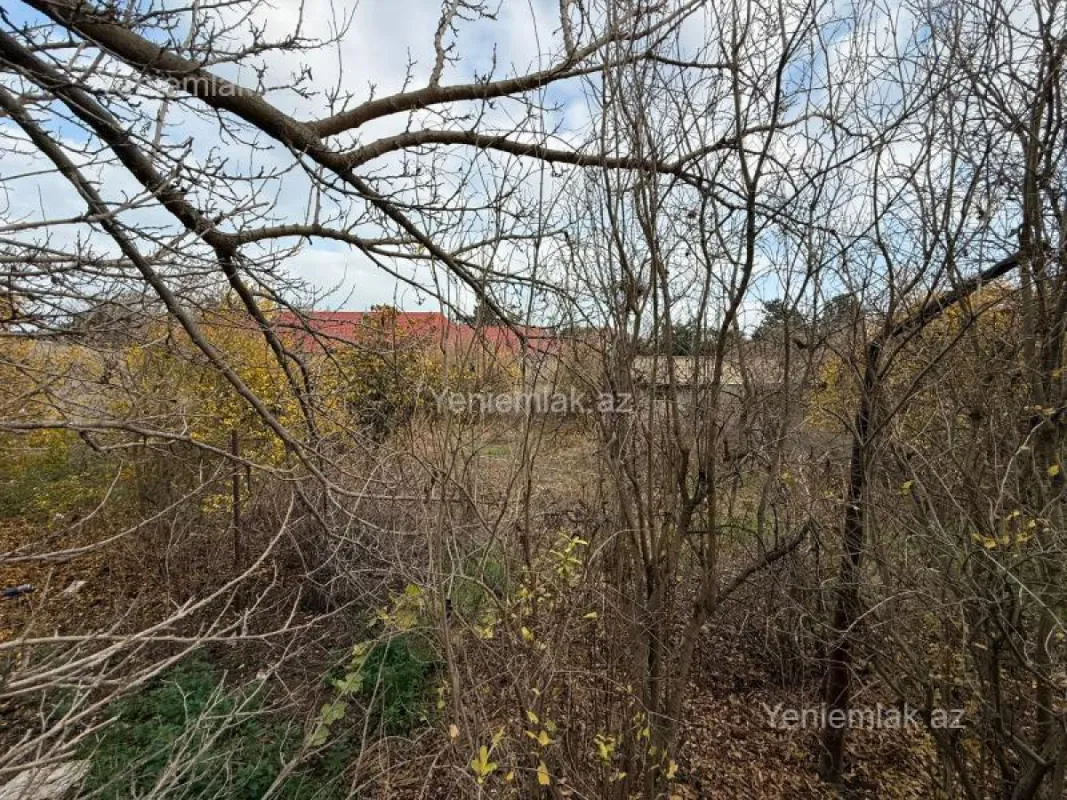 Satılır torpaq sahəsi