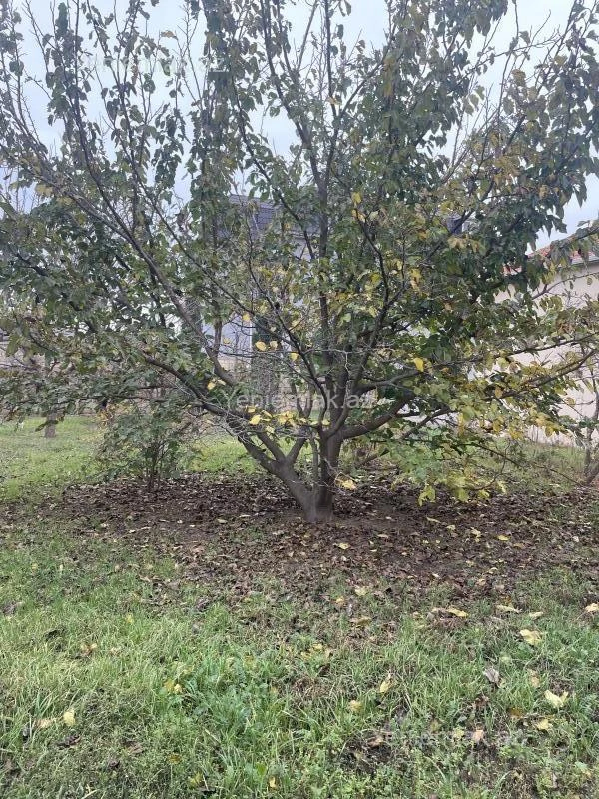Satılır 3 otaqlı həyət evi 90 m²