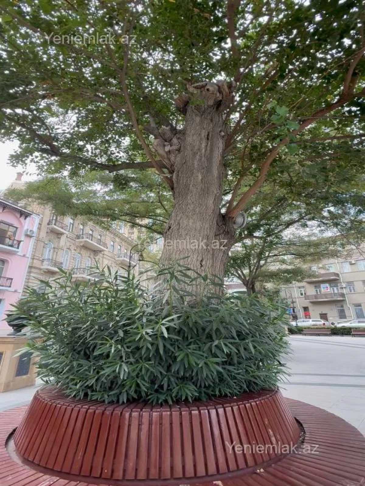 Satılır 3 otaqlı köhnə tikili 90 m²