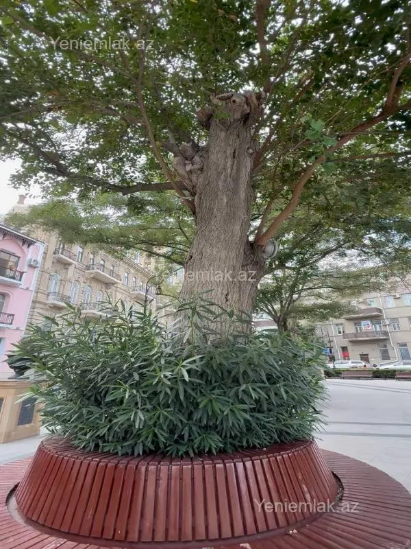 Satılır 3 otaqlı köhnə tikili 90 m²