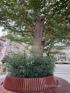 Satılır 3 otaqlı köhnə tikili 90 m²