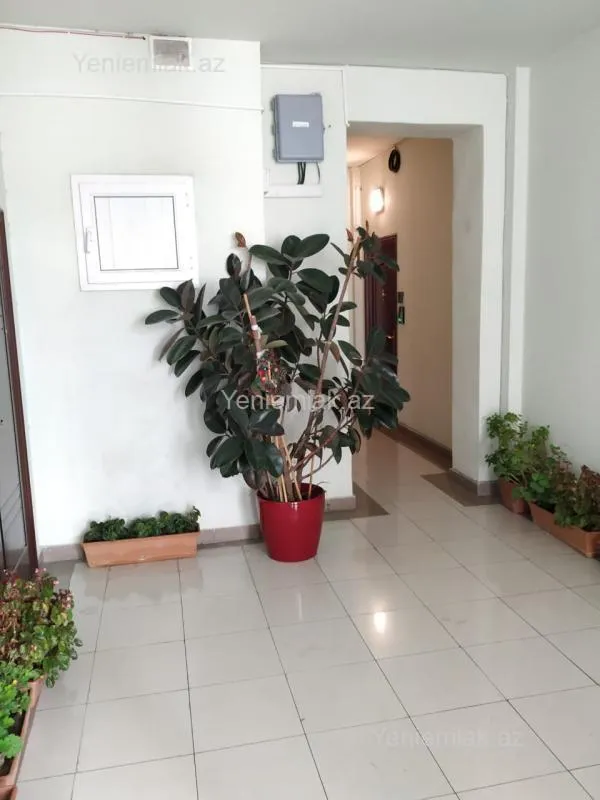 Satılır 4 otaqlı yeni tikili 160 m²