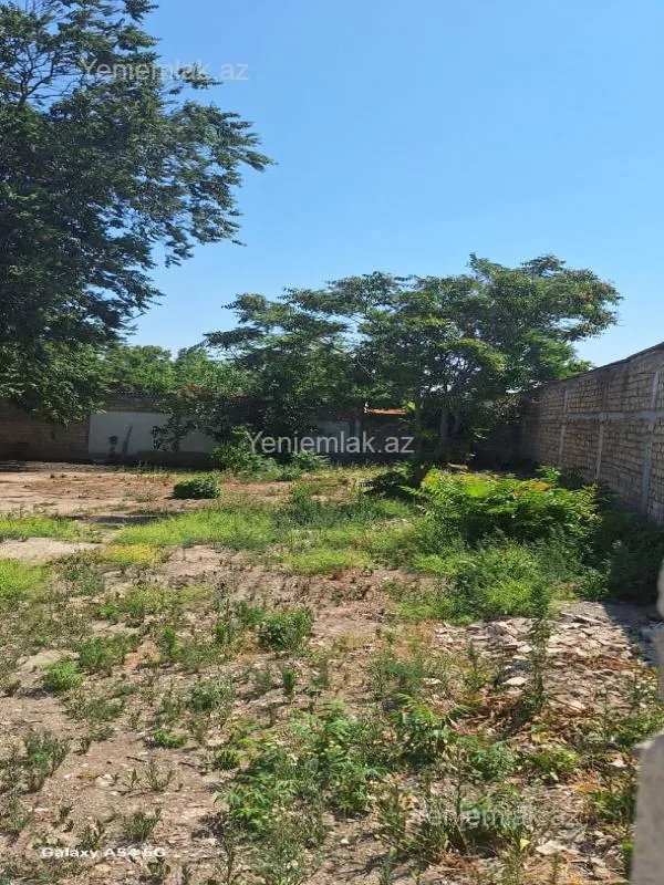 Satılır torpaq sahəsi