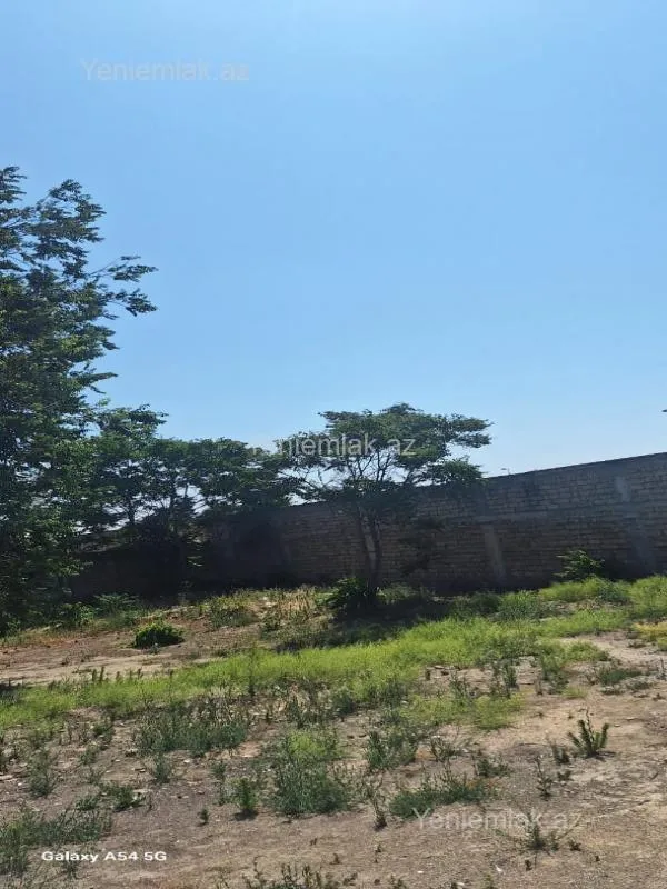 Satılır torpaq sahəsi