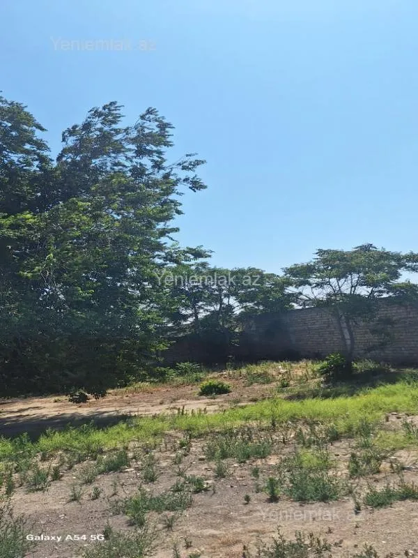 Satılır torpaq sahəsi