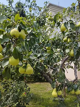 Satılır 5 otaqlı həyət evi 180 m²