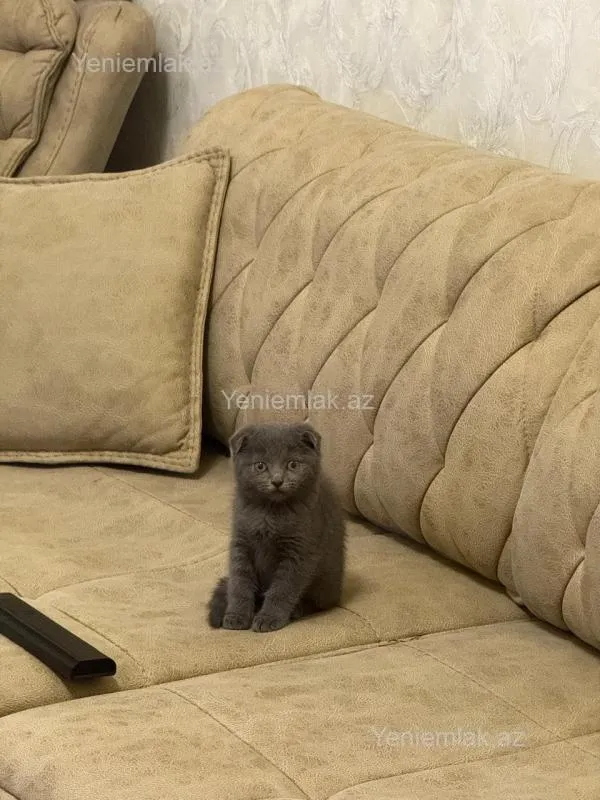 Satılır 2 otaqlı yeni tikili 57.8 m²