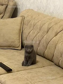 Satılır 2 otaqlı yeni tikili 57.8 m²