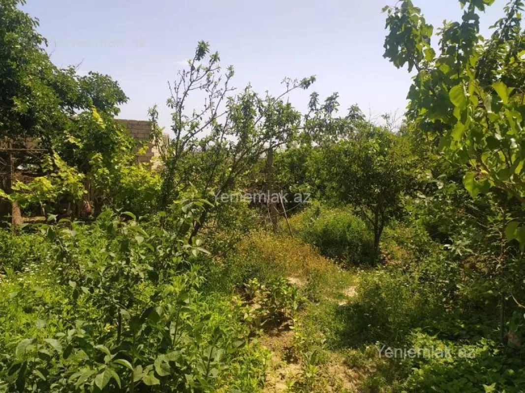 Satılır torpaq sahəsi