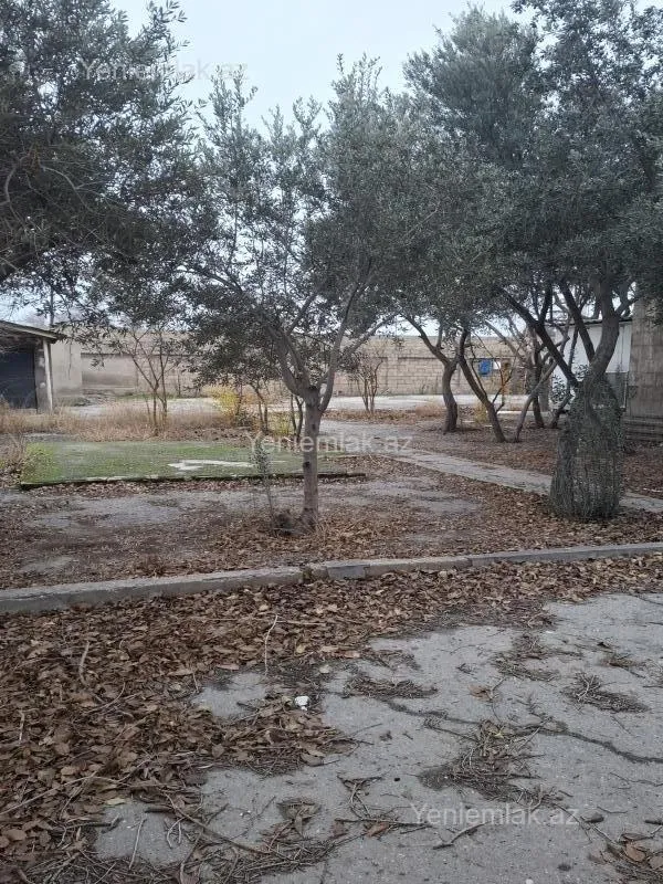 Satılır 6 otaqlı obyekt 370 m²