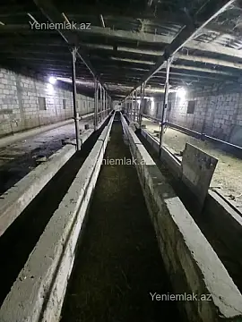 Satılır 3 otaqlı obyekt 2200 m²