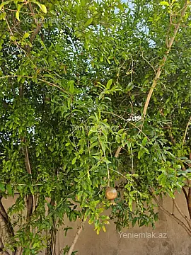 Satılır 8 otaqlı həyət evi 240 m²