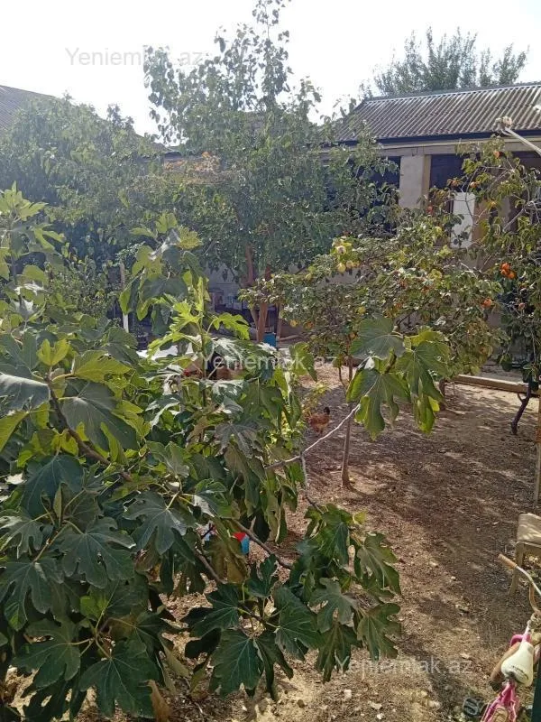 Satılır 4 otaqlı həyət evi 170 m²