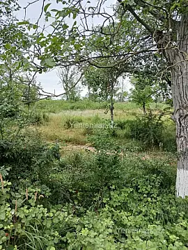 Satılır torpaq sahəsi — Quba