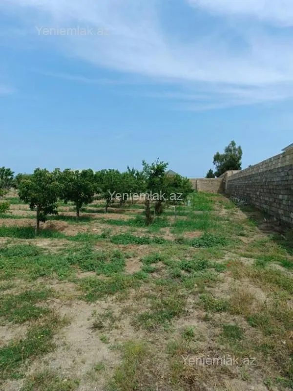 Satılır torpaq sahəsi