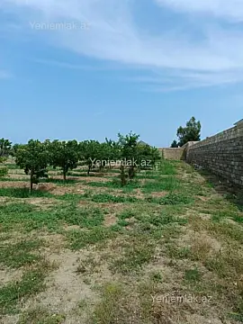 Satılır torpaq sahəsi