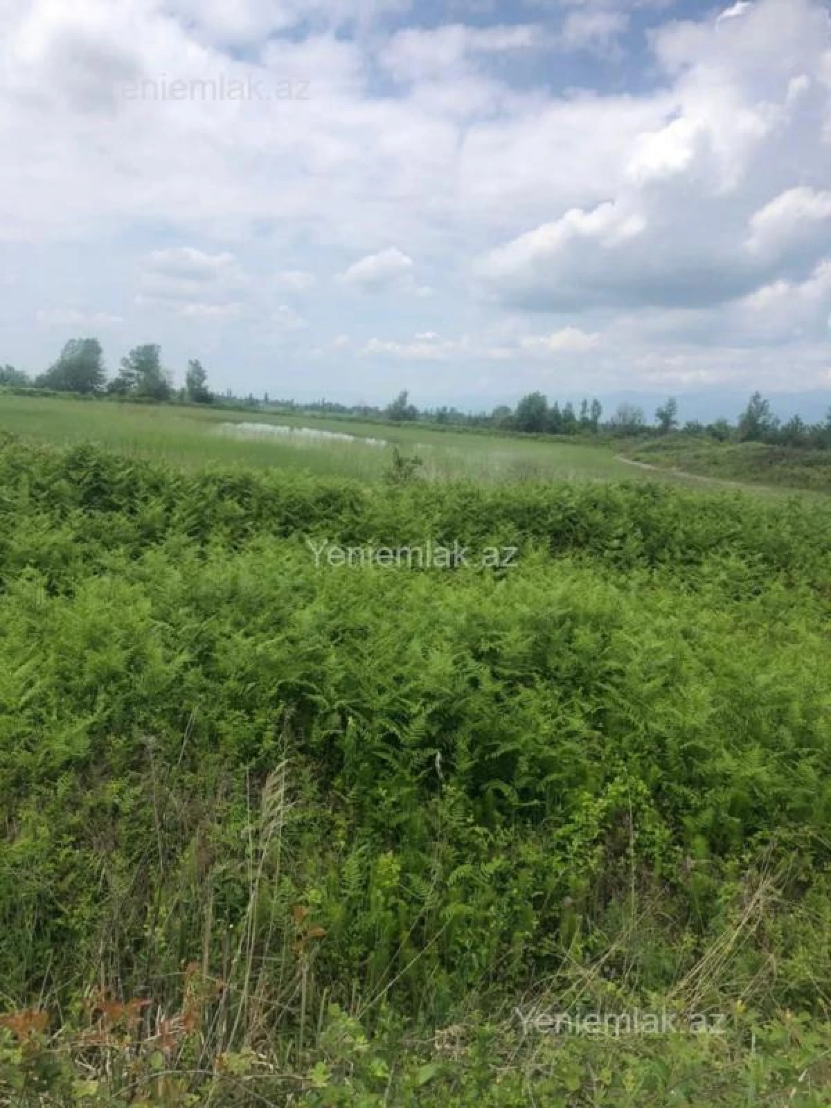 Satılır torpaq sahəsi