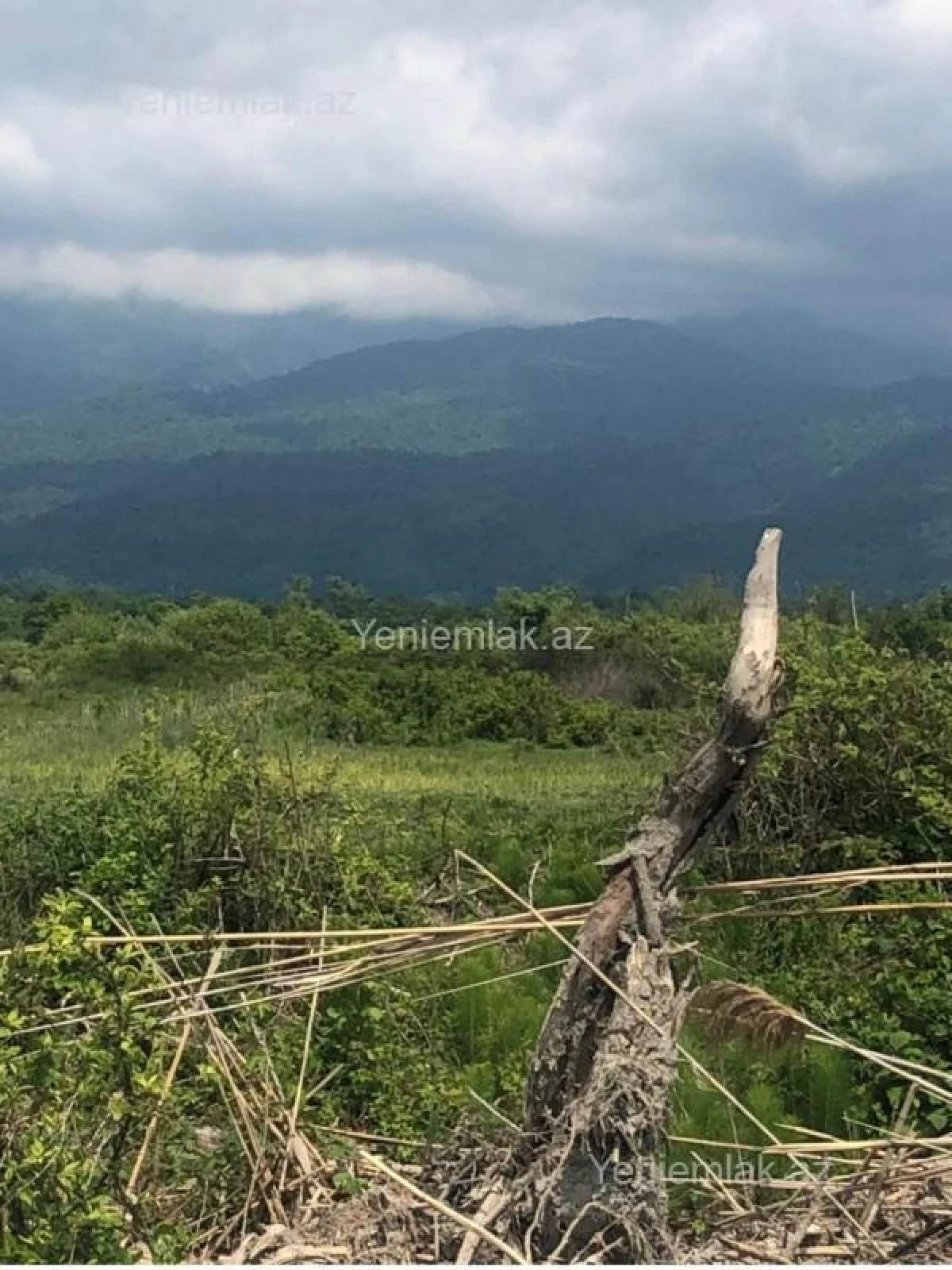 Satılır torpaq sahəsi