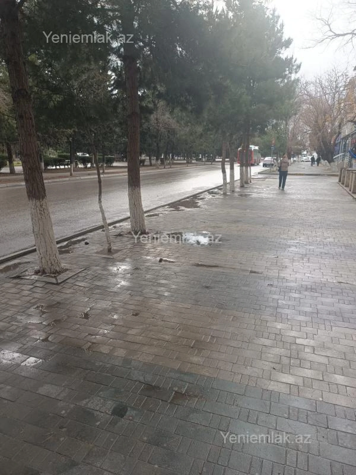 Satılır 2 otaqlı obyekt 55 m²