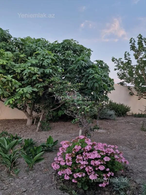 Satılır 7 otaqlı həyət evi 180 m²