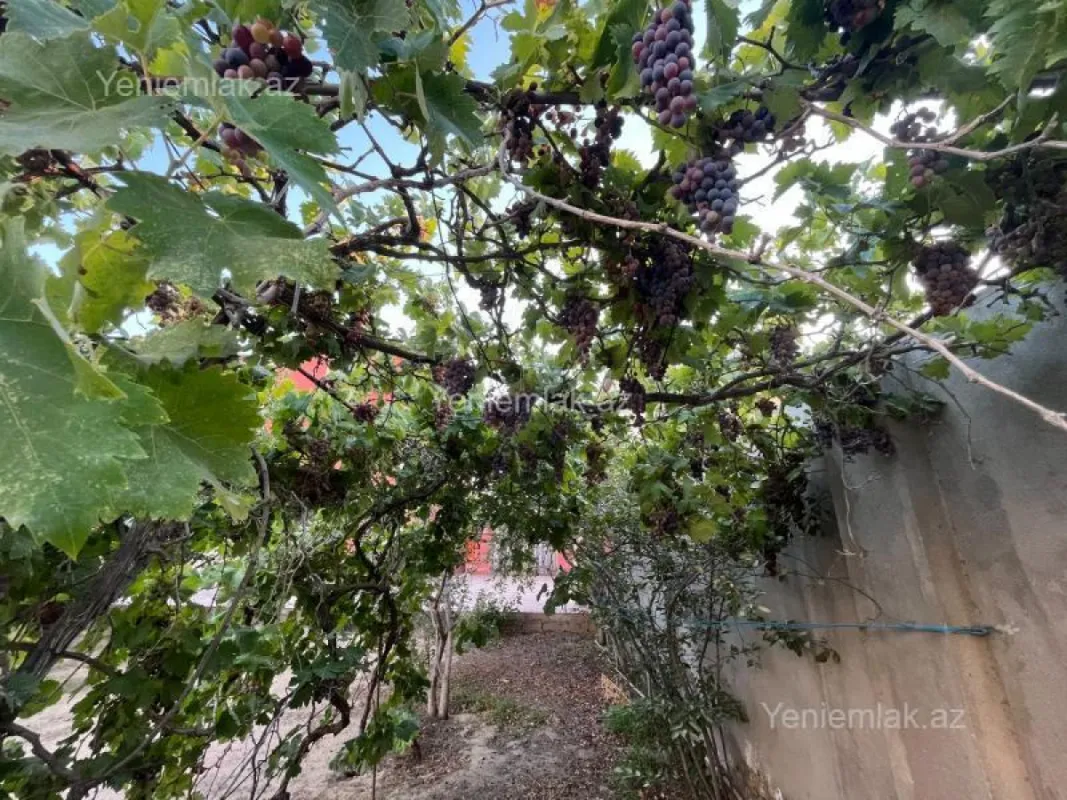 Satılır 7 otaqlı həyət evi 330 m²