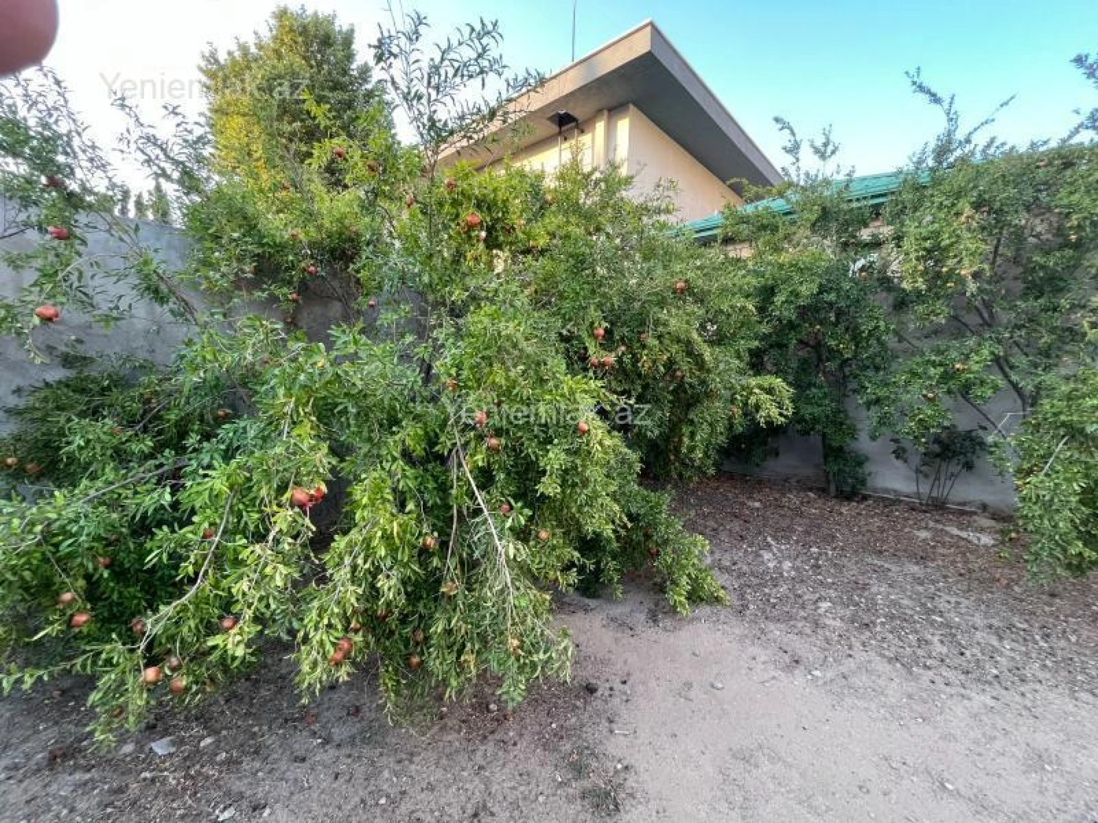 Satılır 7 otaqlı həyət evi 330 m²