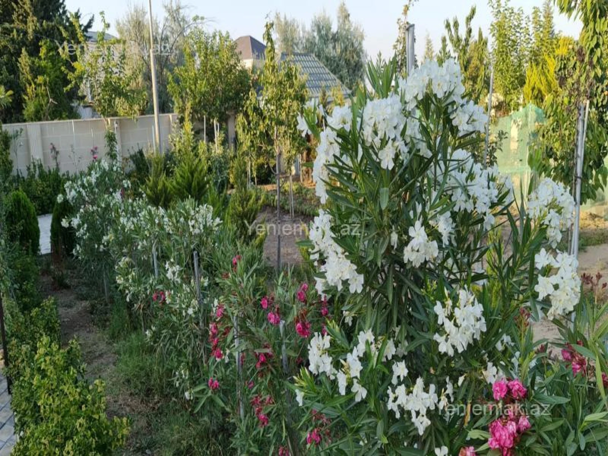 Satılır 6 otaqlı həyət evi 250 m²