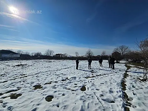 Satılır torpaq sahəsi — Qəbələ